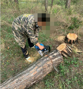 卖过几百台油锯的老销售说说哪个牌子耐用又便宜？