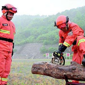 电商买油锯选哪个牌子，国产里哪几个能放心入手？